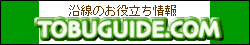 TOBUGUIDE